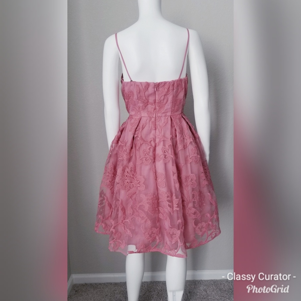 NWT Gorgeous rose burnout embroidered mesh dress - Picture 4 of 6